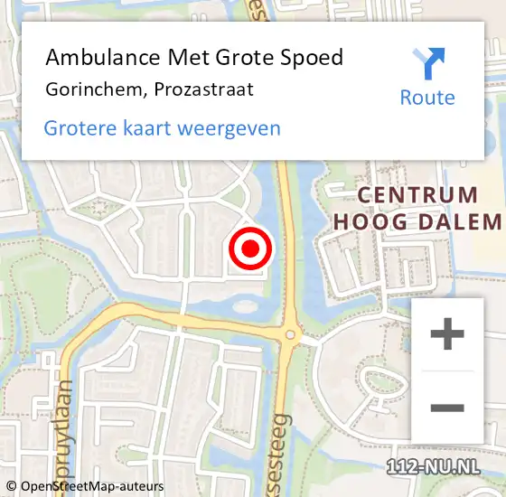 Locatie op kaart van de 112 melding: Ambulance Met Grote Spoed Naar Gorinchem, Prozastraat op 11 juli 2021 11:58