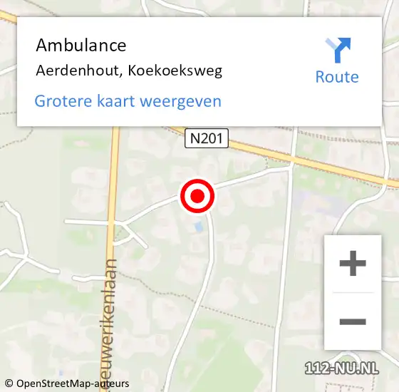 Locatie op kaart van de 112 melding: Ambulance Aerdenhout, Koekoeksweg op 8 september 2021 13:03