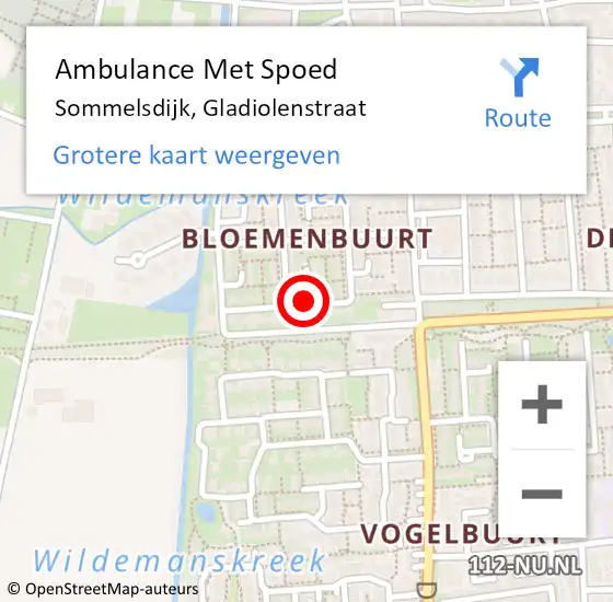 Locatie op kaart van de 112 melding: Ambulance Met Spoed Naar Sommelsdijk, Gladiolenstraat op 13 november 2021 11:14