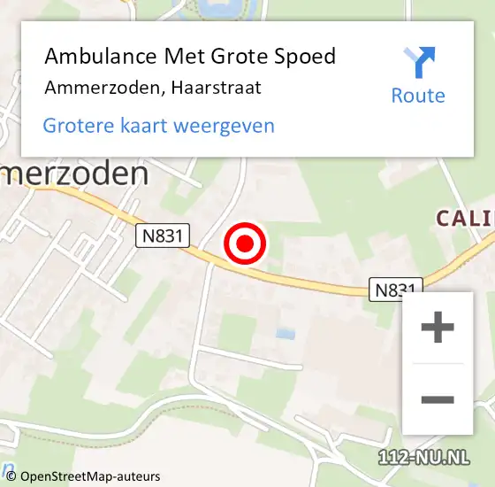 Locatie op kaart van de 112 melding: Ambulance Met Grote Spoed Naar Ammerzoden, Haarstraat op 7 januari 2022 18:25