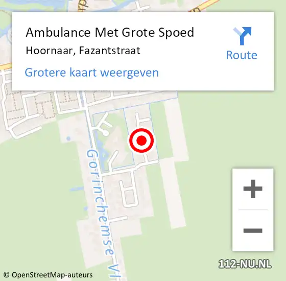 Locatie op kaart van de 112 melding: Ambulance Met Grote Spoed Naar Hoornaar, Fazantstraat op 10 januari 2022 06:59