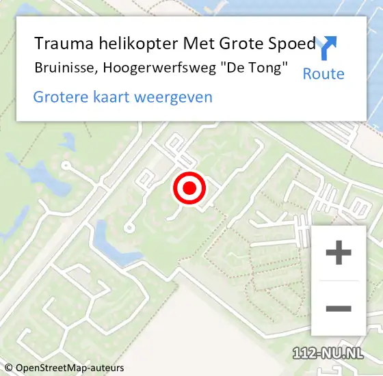 Locatie op kaart van de 112 melding: Trauma helikopter Met Grote Spoed Naar Bruinisse, Hoogerwerfsweg "De Tong" op 19 maart 2022 21:30