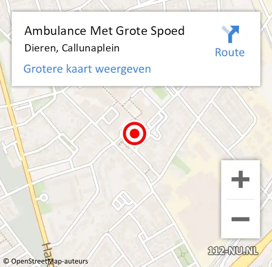 Locatie op kaart van de 112 melding: Ambulance Met Grote Spoed Naar Dieren, Callunaplein op 21 juni 2022 20:17