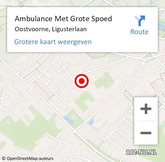 Locatie op kaart van de 112 melding: Ambulance Met Grote Spoed Naar Oostvoorne, Ligusterlaan op 25 juni 2022 20:00