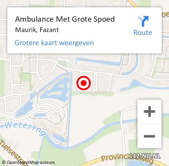 Locatie op kaart van de 112 melding: Ambulance Met Grote Spoed Naar Maurik, Fazant op 16 juli 2022 06:39