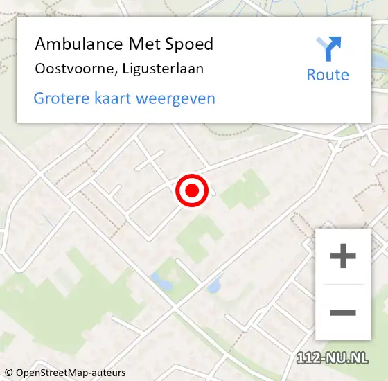 Locatie op kaart van de 112 melding: Ambulance Met Spoed Naar Oostvoorne, Ligusterlaan op 12 november 2022 23:45