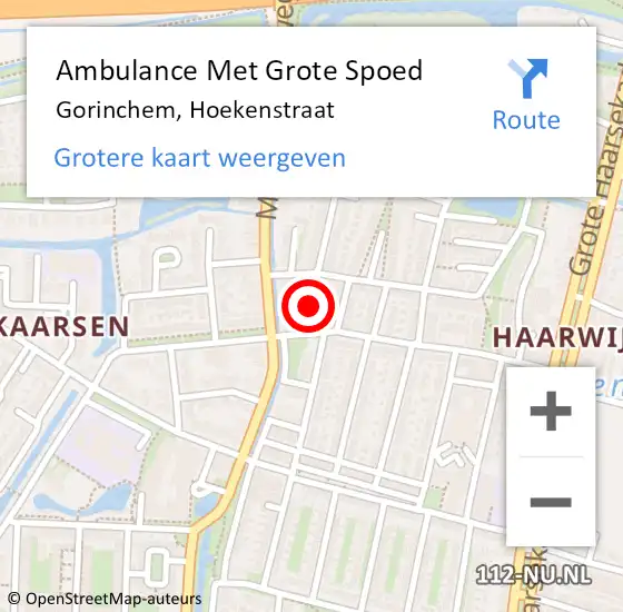 Locatie op kaart van de 112 melding: Ambulance Met Grote Spoed Naar Gorinchem, Hoekenstraat op 20 januari 2023 18:13