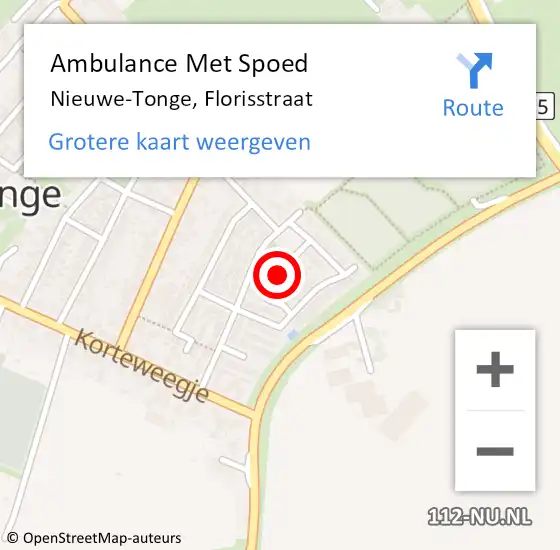 Locatie op kaart van de 112 melding: Ambulance Met Spoed Naar Nieuwe-Tonge, Florisstraat op 24 januari 2023 16:03