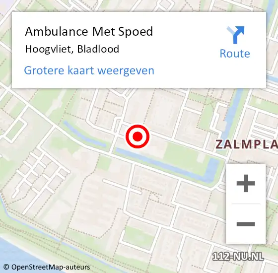 Locatie op kaart van de 112 melding: Ambulance Met Spoed Naar Hoogvliet, Bladlood op 28 maart 2023 03:29