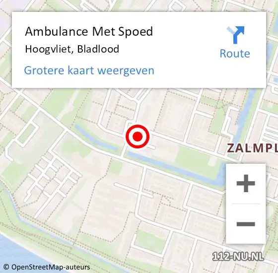 Locatie op kaart van de 112 melding: Ambulance Met Spoed Naar Hoogvliet, Bladlood op 22 augustus 2014 15:05