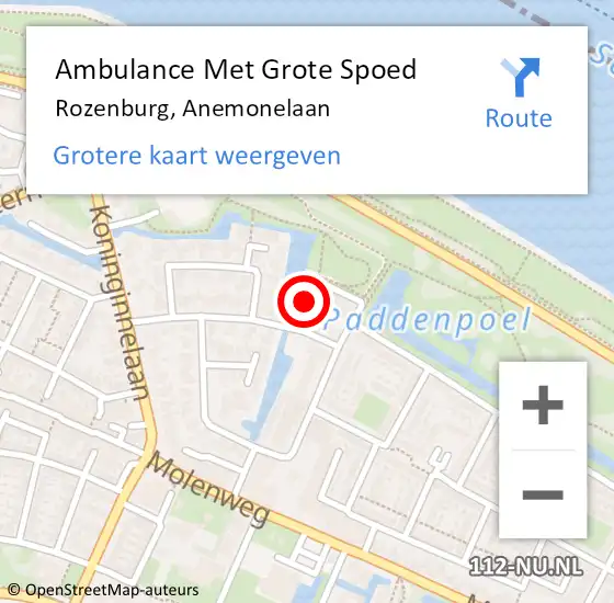 Locatie op kaart van de 112 melding: Ambulance Met Grote Spoed Naar Rozenburg, Anemonelaan op 12 augustus 2023 01:25