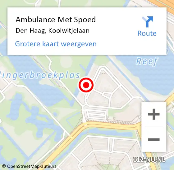 Locatie op kaart van de 112 melding: Ambulance Met Spoed Naar Den Haag, Koolwitjelaan op 17 januari 2024 00:08