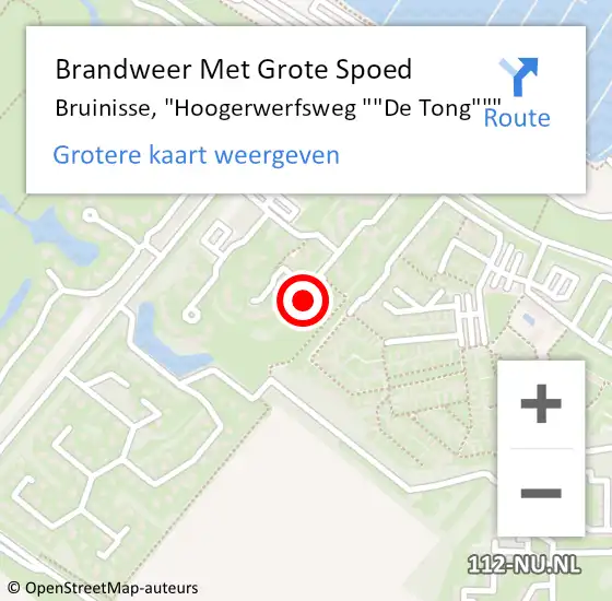 Locatie op kaart van de 112 melding: Brandweer Met Grote Spoed Naar Bruinisse, "Hoogerwerfsweg ""De Tong""" op 29 januari 2024 12:29