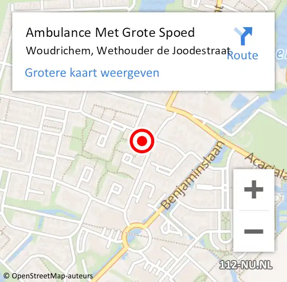 Locatie op kaart van de 112 melding: Ambulance Met Grote Spoed Naar Woudrichem, Wethouder de Joodestraat op 2 april 2024 02:31