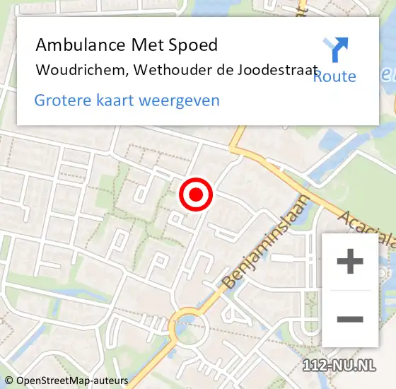 Locatie op kaart van de 112 melding: Ambulance Met Spoed Naar Woudrichem, Wethouder de Joodestraat op 27 april 2024 20:33