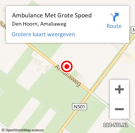 Locatie op kaart van de 112 melding: Ambulance Met Grote Spoed Naar Den Hoorn, Amaliaweg op 11 mei 2024 11:26