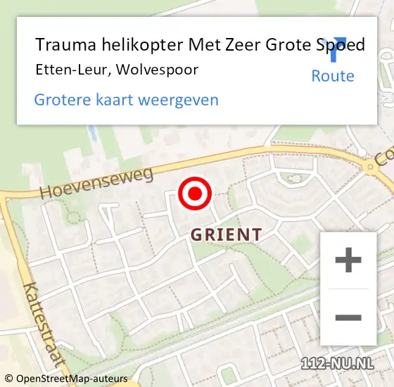 Locatie op kaart van de 112 melding: Trauma helikopter Met Zeer Grote Spoed Naar Etten-Leur, Wolvespoor op 1 juni 2024 16:18