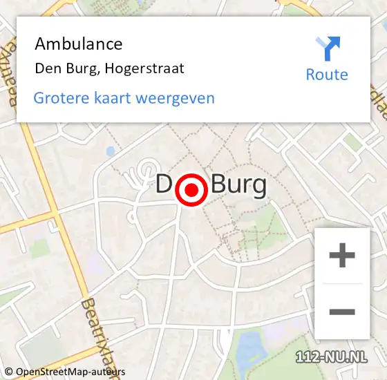 Locatie op kaart van de 112 melding: Ambulance Den Burg, Hogerstraat op 4 juni 2024 09:30