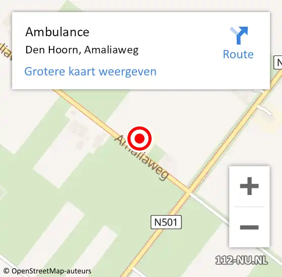 Locatie op kaart van de 112 melding: Ambulance Den Hoorn, Amaliaweg op 8 juni 2024 18:06