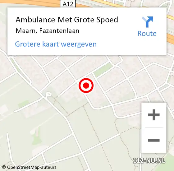 Locatie op kaart van de 112 melding: Ambulance Met Grote Spoed Naar Maarn, Fazantenlaan op 17 oktober 2013 05:48