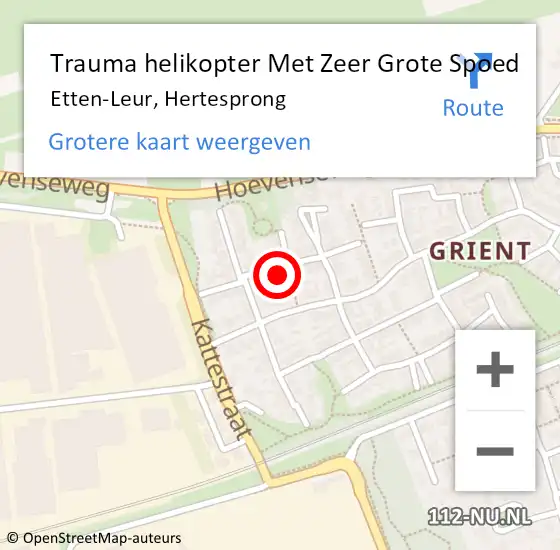 Locatie op kaart van de 112 melding: Trauma helikopter Met Zeer Grote Spoed Naar Etten-Leur, Hertesprong op 17 juni 2024 20:46