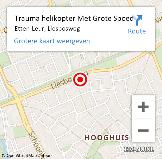 Locatie op kaart van de 112 melding: Trauma helikopter Met Grote Spoed Naar Etten-Leur, Liesbosweg op 3 juli 2024 07:49