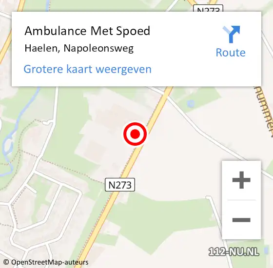 Locatie op kaart van de 112 melding: Ambulance Met Spoed Naar Haelen, Napoleonsweg op 16 juli 2024 13:49