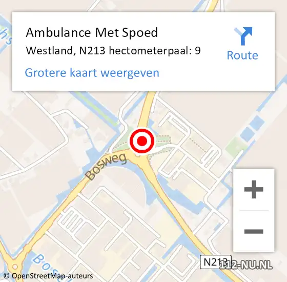 Locatie op kaart van de 112 melding: Ambulance Met Spoed Naar Westland, N213 hectometerpaal: 9 op 29 november 2024 23:03