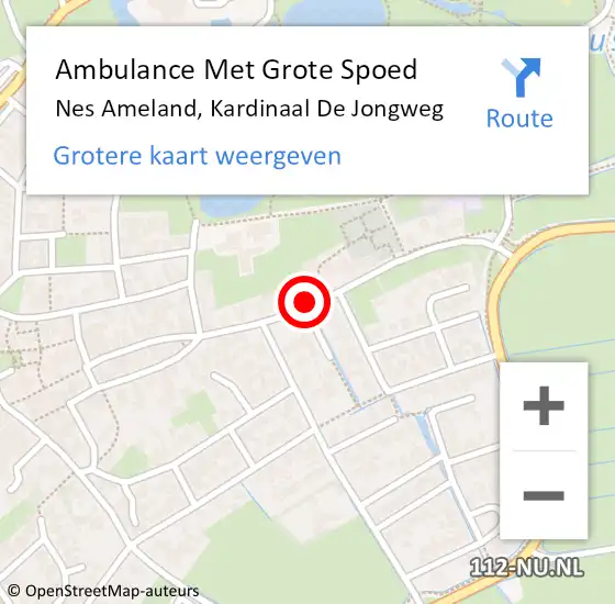 Locatie op kaart van de 112 melding: Ambulance Met Grote Spoed Naar Nes Ameland, Kardinaal de Jongweg op 22 januari 2015 17:27