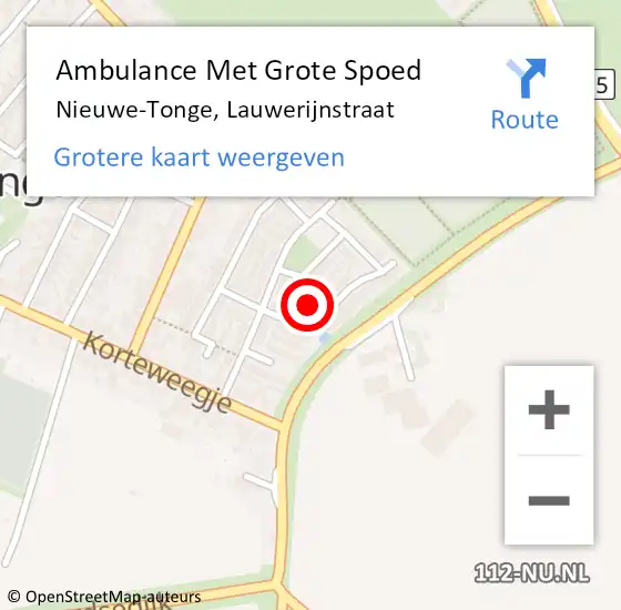 Locatie op kaart van de 112 melding: Ambulance Met Grote Spoed Naar Nieuwe-Tonge, Lauwerijnstraat op 26 januari 2015 11:37