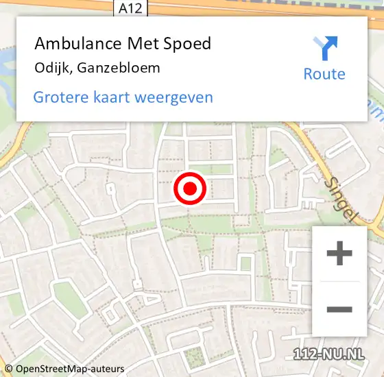 Locatie op kaart van de 112 melding: Ambulance Met Spoed Naar Odijk, Ganzebloem op 4 februari 2015 17:44