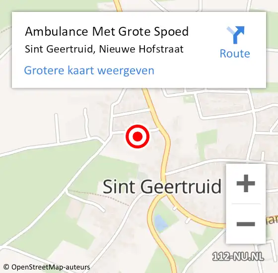 Locatie op kaart van de 112 melding: Ambulance Met Grote Spoed Naar Sint Geertruid, Nieuwe Hofstraat op 22 februari 2015 09:18