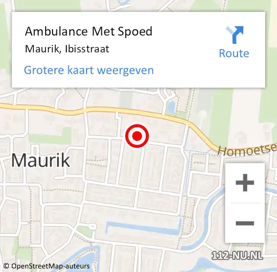 Locatie op kaart van de 112 melding: Ambulance Met Spoed Naar Maurik, Ibisstraat op 10 mei 2015 00:42