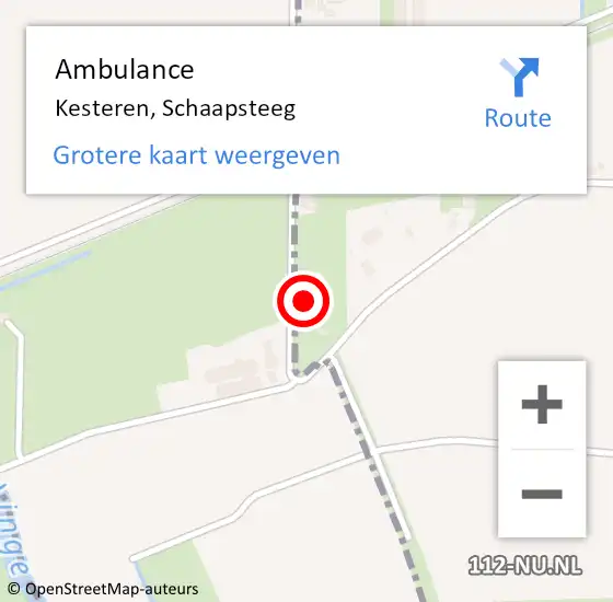 Locatie op kaart van de 112 melding: Ambulance Kesteren, Schaapsteeg op 11 juni 2015 10:19