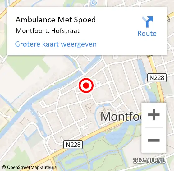 Locatie op kaart van de 112 melding: Ambulance Met Spoed Naar Montfoort, Hofstraat op 28 juni 2015 20:24