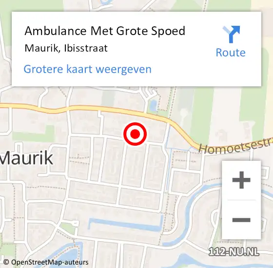 Locatie op kaart van de 112 melding: Ambulance Met Grote Spoed Naar Maurik, Ibisstraat op 29 juni 2015 10:09