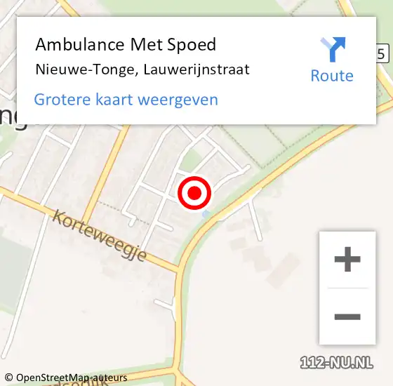 Locatie op kaart van de 112 melding: Ambulance Met Spoed Naar Nieuwe-Tonge, Lauwerijnstraat op 31 augustus 2015 12:04