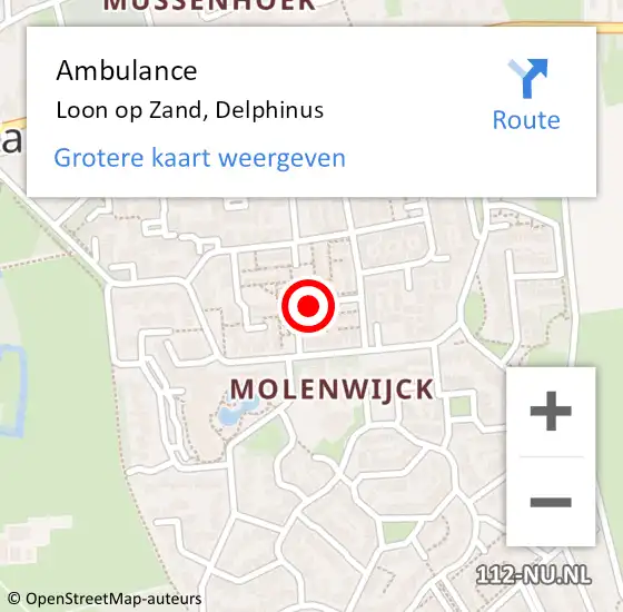 Locatie op kaart van de 112 melding: Ambulance Loon op Zand, Delphinus op 6 december 2015 23:03