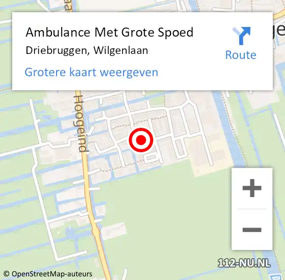 Locatie op kaart van de 112 melding: Ambulance Met Grote Spoed Naar Driebruggen, Wilgenlaan op 29 november 2013 17:40