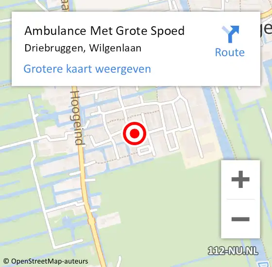 Locatie op kaart van de 112 melding: Ambulance Met Grote Spoed Naar Driebruggen, Wilgenlaan op 29 november 2013 17:45