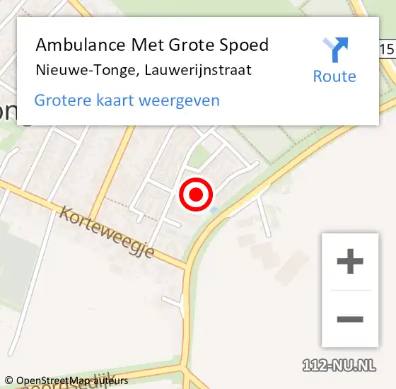 Locatie op kaart van de 112 melding: Ambulance Met Grote Spoed Naar Nieuwe-Tonge, Lauwerijnstraat op 1 maart 2016 01:29