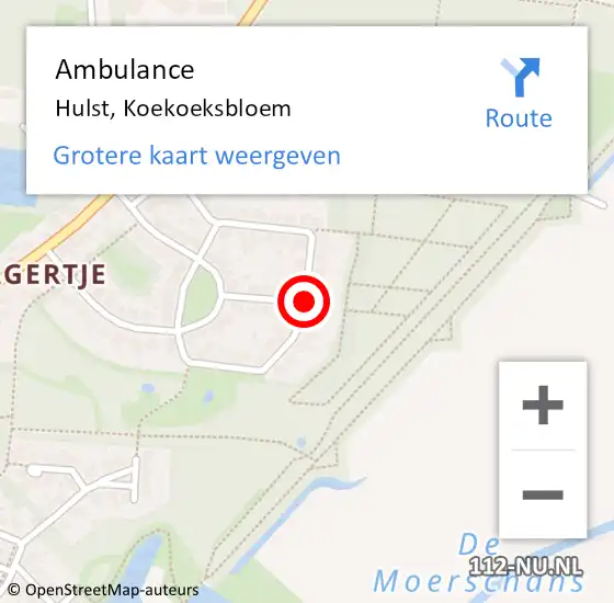 Locatie op kaart van de 112 melding: Ambulance Hulst, Koekoeksbloem op 4 maart 2016 15:32