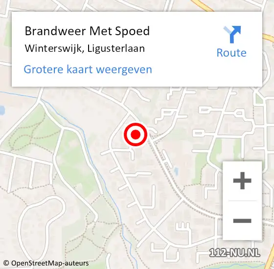 Locatie op kaart van de 112 melding: Brandweer Met Spoed Naar Winterswijk, Ligusterlaan op 20 maart 2016 05:37