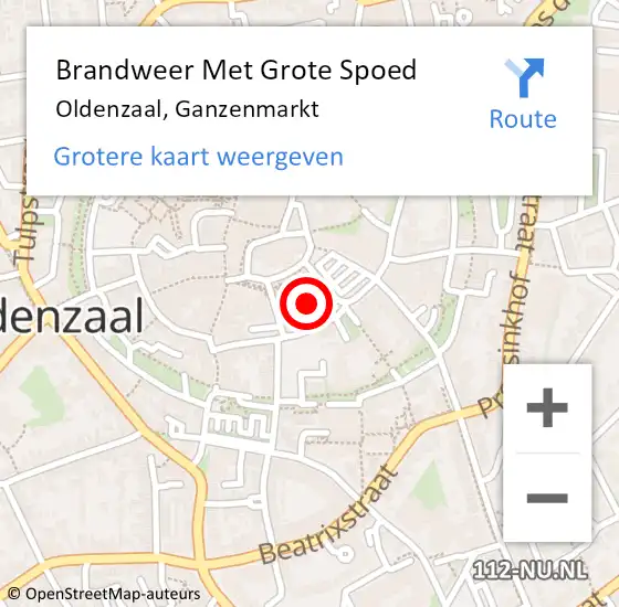 Locatie op kaart van de 112 melding: Brandweer Met Grote Spoed Naar Oldenzaal, Ganzenmarkt op 5 januari 2014 11:41