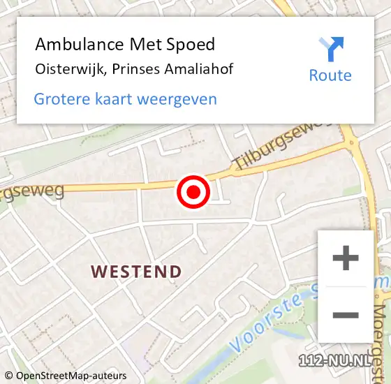 Locatie op kaart van de 112 melding: Ambulance Met Spoed Naar Oisterwijk, Prinses Amaliahof op 16 januari 2017 22:28