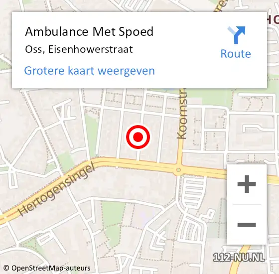 Locatie op kaart van de 112 melding: Ambulance Met Spoed Naar Oss, Eisenhowerstraat op 29 januari 2017 01:18