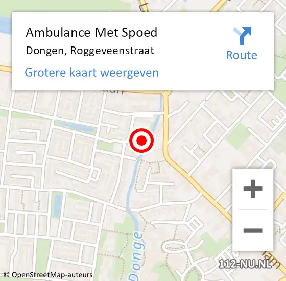 Locatie op kaart van de 112 melding: Ambulance Met Spoed Naar Dongen, Roggeveenstraat op 29 januari 2017 23:15