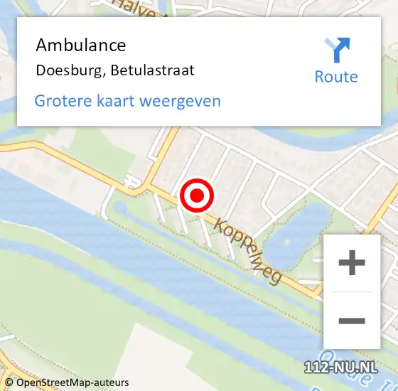 Locatie op kaart van de 112 melding: Ambulance Doesburg, Betulastraat op 6 april 2017 14:28