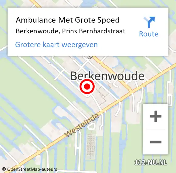 Locatie op kaart van de 112 melding: Ambulance Met Grote Spoed Naar Berkenwoude, Prins Bernhardstraat op 4 juni 2017 12:28