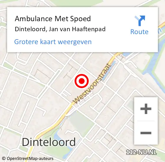 Locatie op kaart van de 112 melding: Ambulance Met Spoed Naar Dinteloord, Jan van Haaftenpad op 7 juni 2017 05:31
